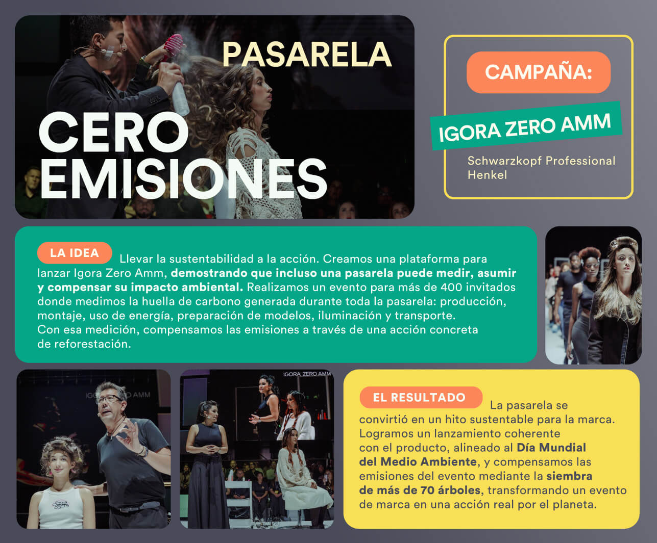 Pasarela cero emisiones Ideactividad